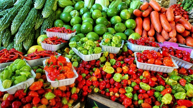 primeur-FIGANIERES-min_farmers-market-1329008